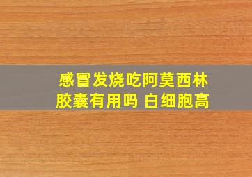 感冒发烧吃阿莫西林胶囊有用吗 白细胞高